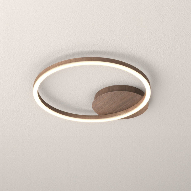 Elegant Ring Plafondlamp