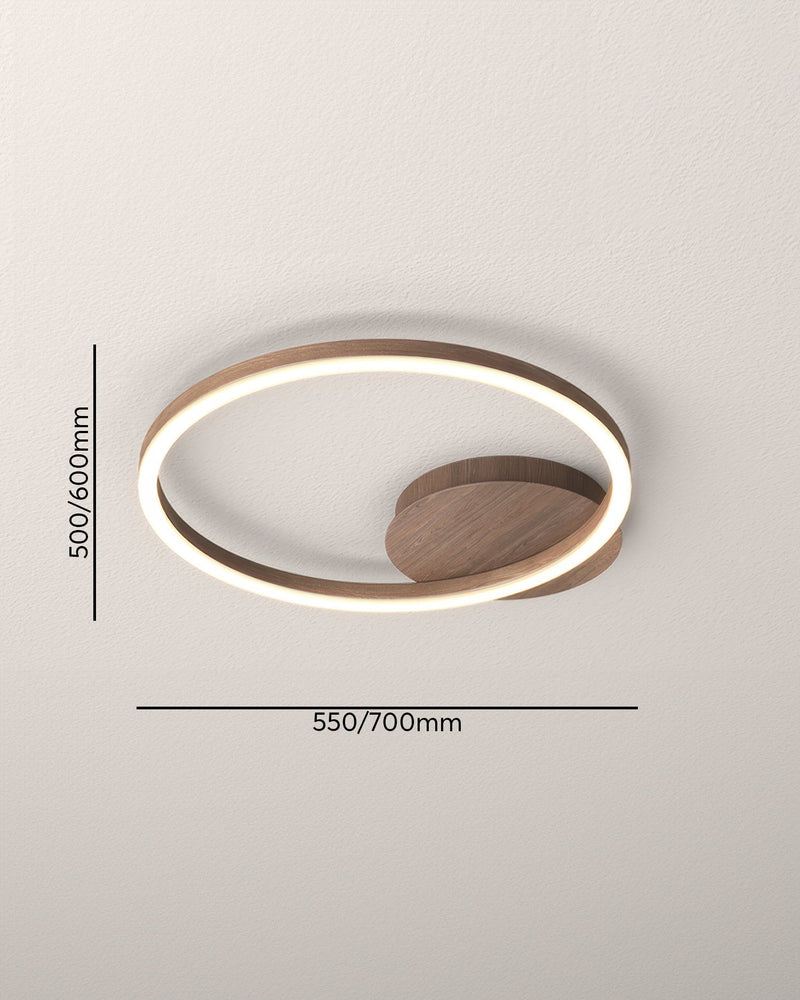Elegant Ring Plafondlamp