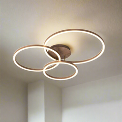 Elegant Ring Plafondlamp
