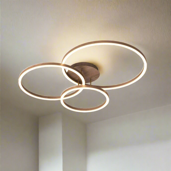 Elegant Ring Plafondlamp