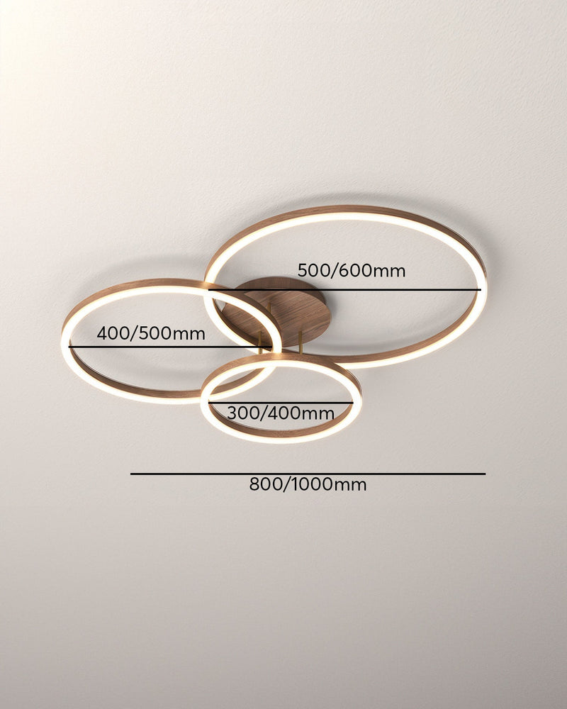 Elegant Ring Plafondlamp